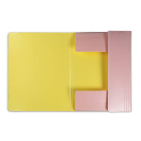 Cartelline a 3 lembi Leonardi ViceVersa A4 25,5 x 35,5 cm conf. da 4 colori assortiti - 100041254